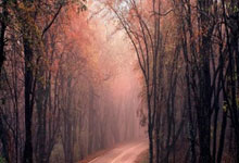 足总杯1／4决赛裁判：阿特维尔执法伯恩茅斯vs曼城.