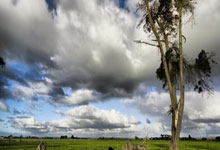 太阳城体育：孙兴慜：为了不被裁判的判罚所影响，我们应踢出更干净的比赛.