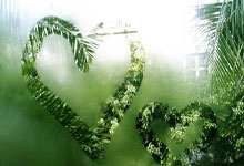 德甲-萨内梅开二度凯恩传射 拜仁主场3-2圣保利.