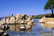 严师出高徒！周继红曾骂哭陈若琳：训练不主动，体重不控制，受伤不坚持.